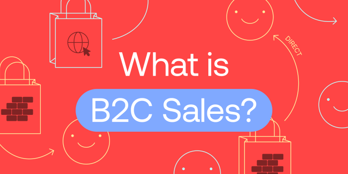 Understanding B2B and B2C Sales